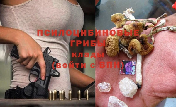 герыч Алексин