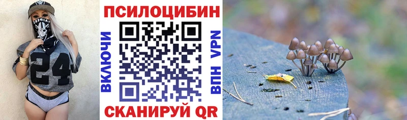 наркошоп  Невинномысск  Псилоцибиновые грибы Magic Shrooms 